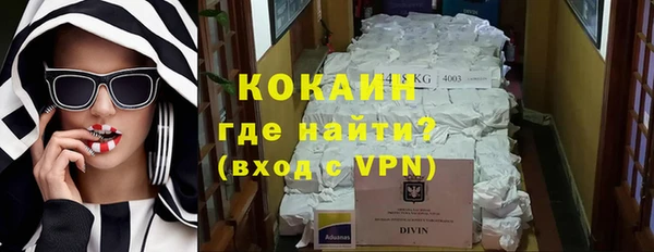 спайс Корсаков