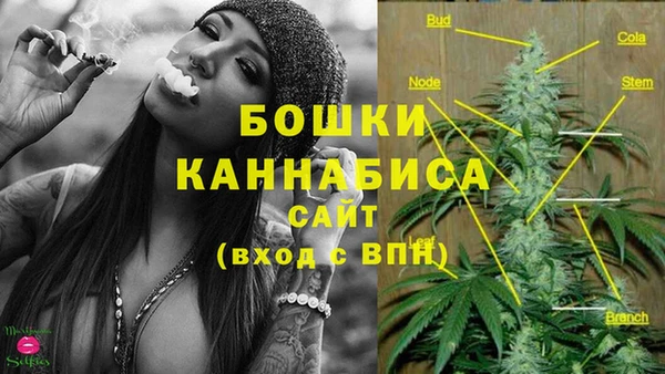 спайс Корсаков