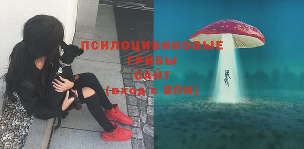 гашик Пролетарск