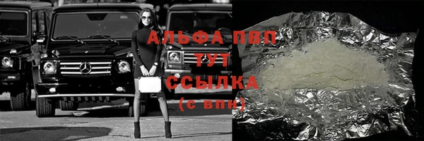 спайс Корсаков